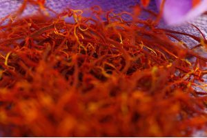 Iranian saffron conclusion