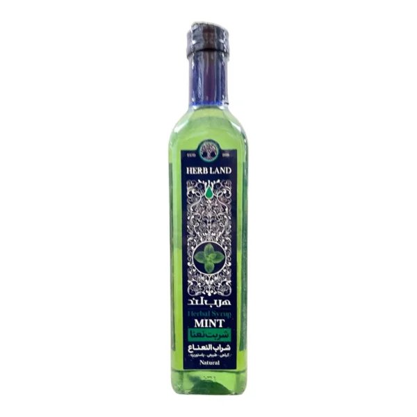 Herb Land Rich Herbal Mint Syrup 650ml bottle