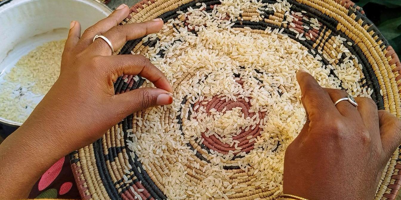 Dry rice stored in a sealed container in a kitchen cupboard