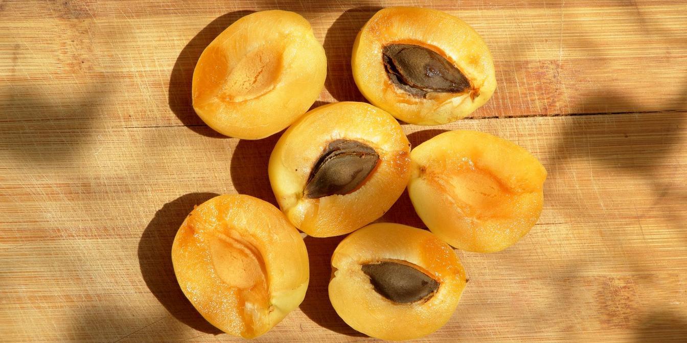 Comparison of whole prunes, Persian aloo and prune juice