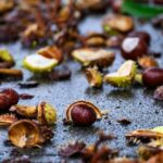 Rice, saffron, barberries, dried limes, herbs and nuts arranged as Persian pantry essentials