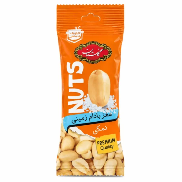 Golestan Salted Peanuts 40g | Roasted & Salted Peanut Snack